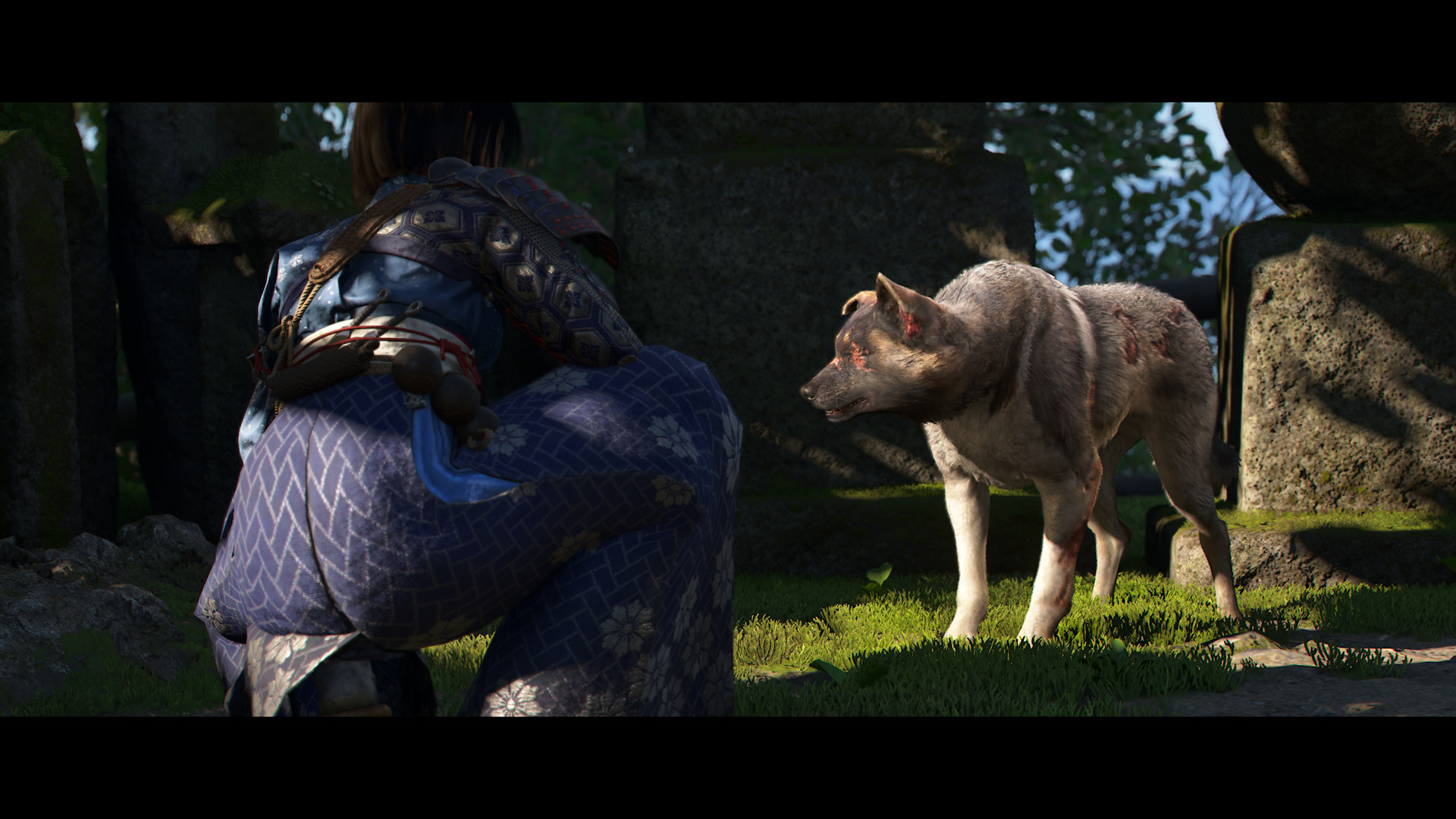 Armer Hundi - Wird er unser tierischer Freund?